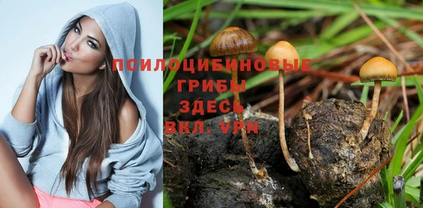 СК Арсеньев