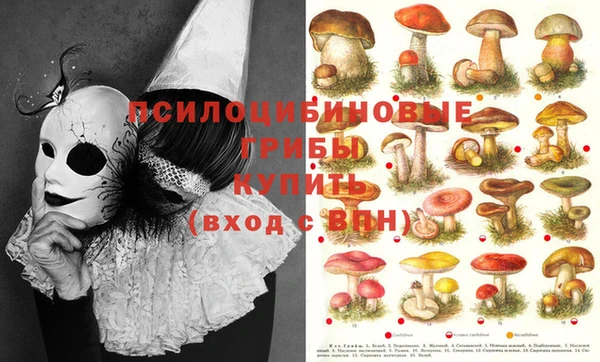 мяу мяу кристалл Аркадак