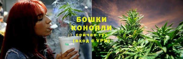 ECSTASY Армянск