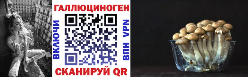Псилоцибиновые грибы GOLDEN TEACHER  Гаджиево 